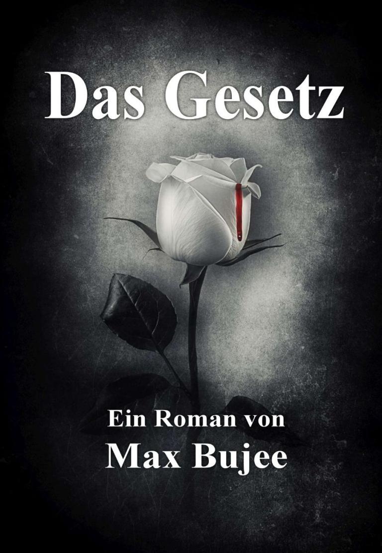 Max Bujee HosenTaschenRoman